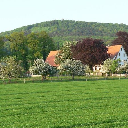 Ferienwohnung An Der Obstwiese Borgholzhausen Kültér fotó