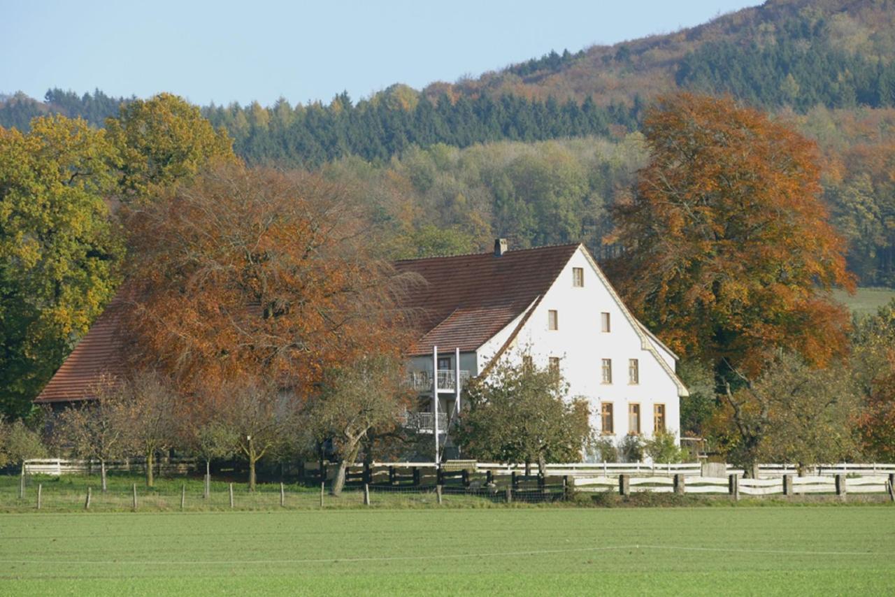 Ferienwohnung An Der Obstwiese Borgholzhausen Kültér fotó